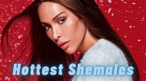 Best Shemale Compilation Porn Videos : Sheshaft.